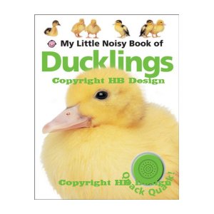 My Little Noisy Book of  Ducklings. Interactive Push-the-Button Sound Book